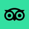 owl-icon-mint